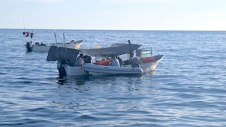 Dewey fishing