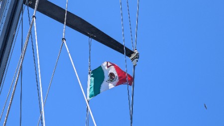 The Mexican flag
