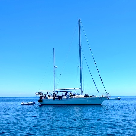Sailing Catalpa
