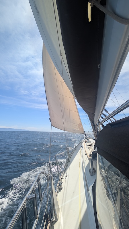 Sails up