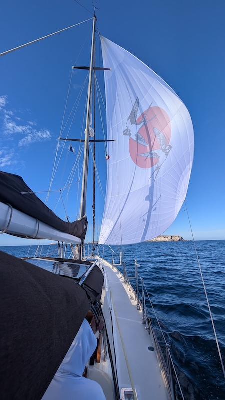 Spinnaker
